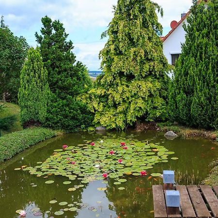 Hotel-Pension Am Rosarium Sangerhausen Εξωτερικό φωτογραφία