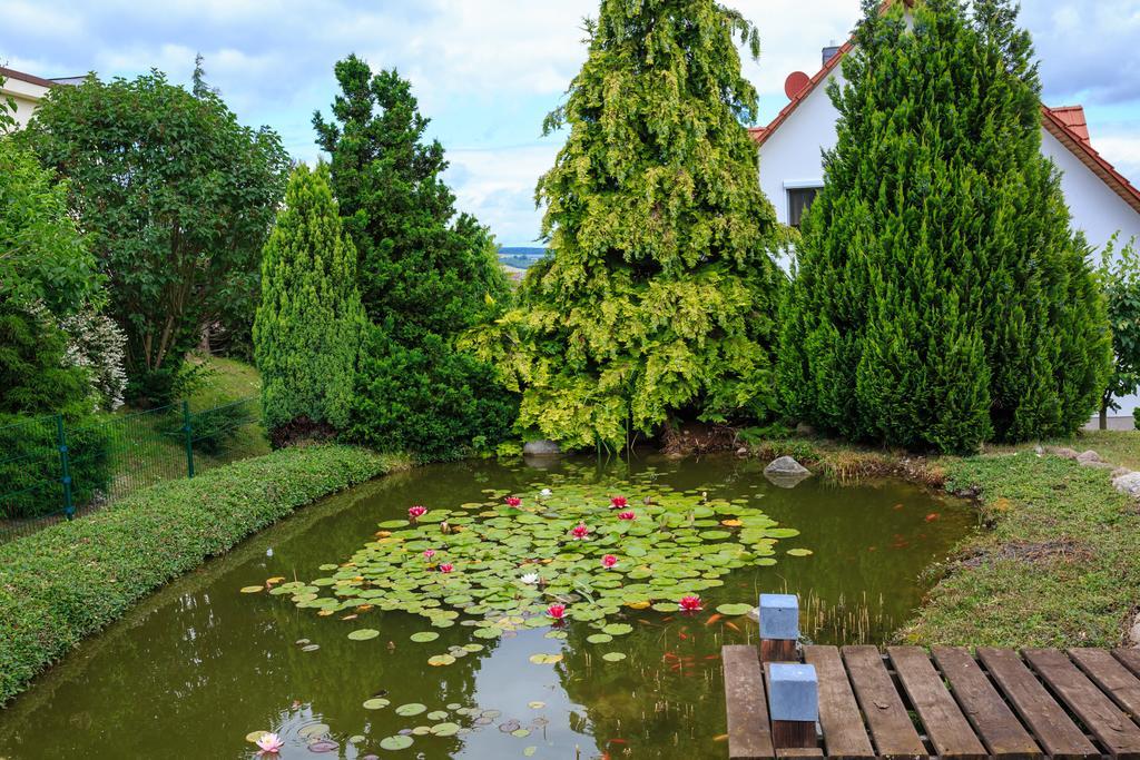 Hotel-Pension Am Rosarium Sangerhausen Εξωτερικό φωτογραφία